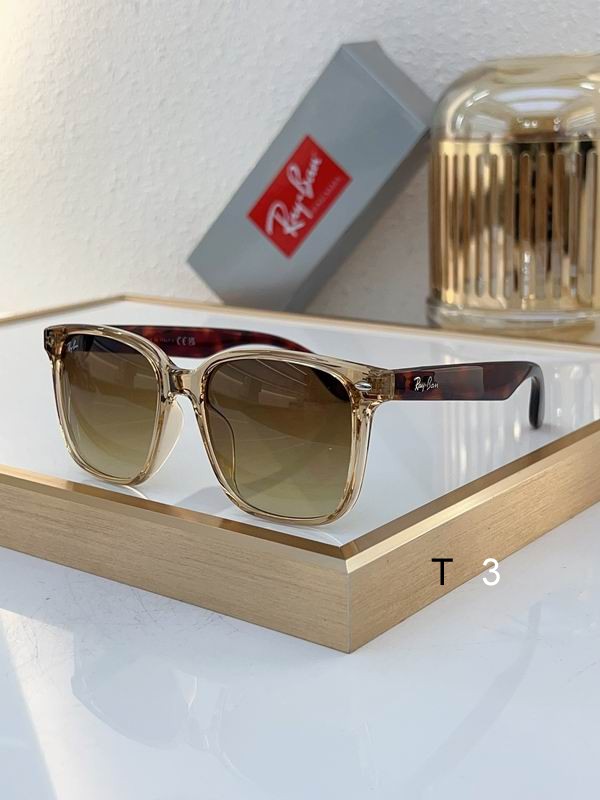 RayBan Sunglasses ID:20240804-380